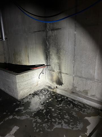 Brandalarm; Grundacherstrasse, Tagelswangen